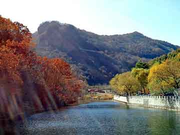 新澳天天开奖资料大全旅游团，武魂小说